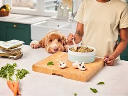Healthy Dog Food Recipes